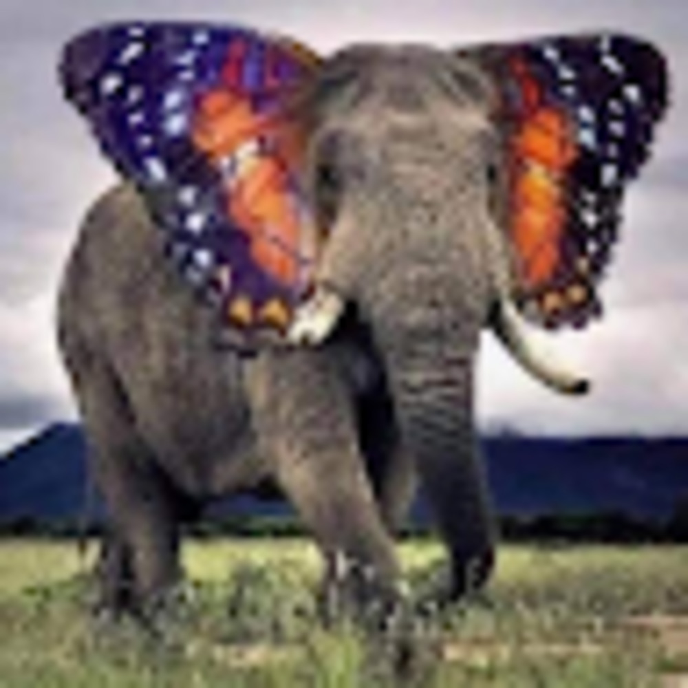 Meet your Posher, Erica